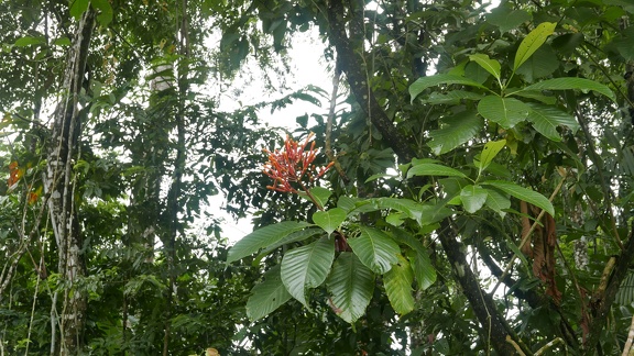 P1020217