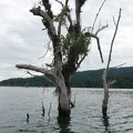 P1020247.JPG