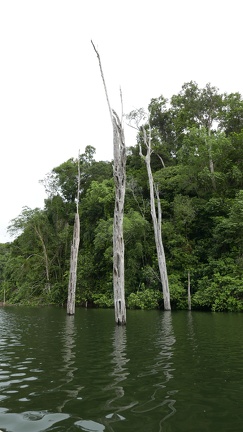 P1020255