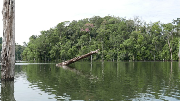 P1020260