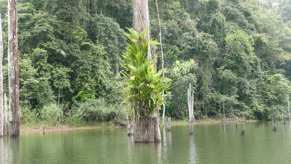 P1020261