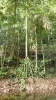 P1020271