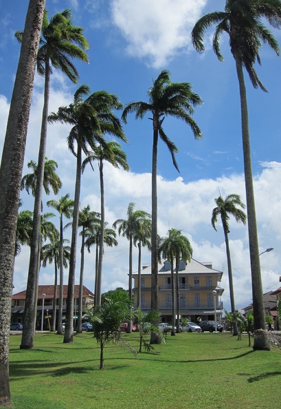 Cayenne - Place des Palmistes