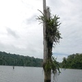 P1020254