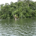 P1020256