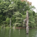 P1020259