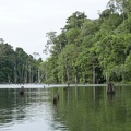 P1020263