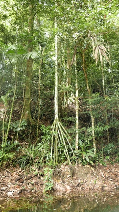 P1020271