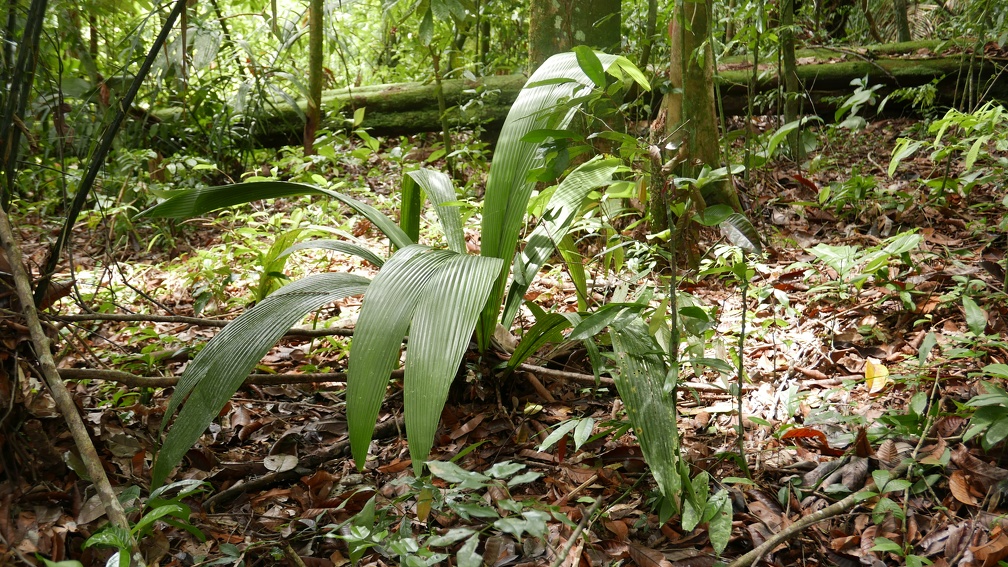 P1020292